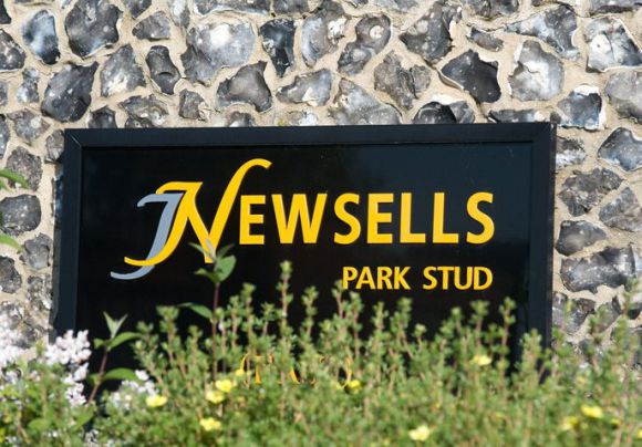 Das Gestüt Newsells Park in der Nähe von Newmarket. www.newsells-park.com